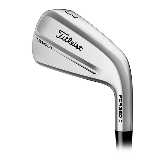 【名器】【幻】Titleist T Forged アイアンセット 2-P T FORGED タイトリスト(Titleist) アイアンセット(IRON