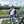 Alex R